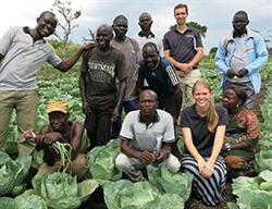 Cabbabe-Patch Cabbabe-Patch