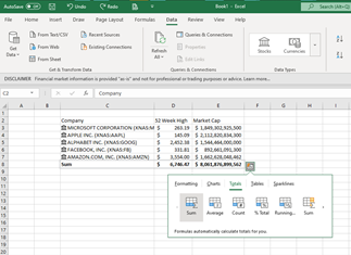 Excel Sheet Demonstrating Totals