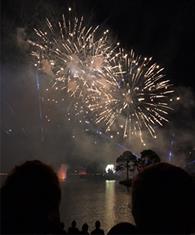 2017AnnualConvention_Fireworks Fireworks over Disney