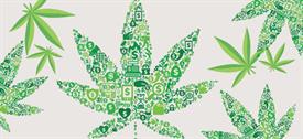 Cannabis leaves with business icons within