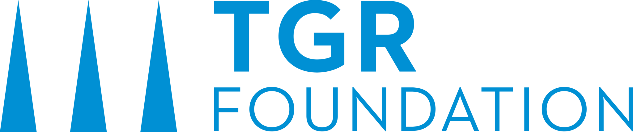TGRF_primary_HORZ_vibrantblue-1-2048x429
