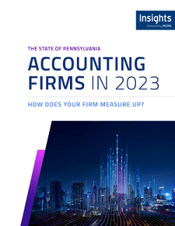 Cover of the white paper State of Pennsylvania Accounting Firms in 2023