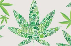 Illustration of cannabis leaf with numerous symbols indicating business and money