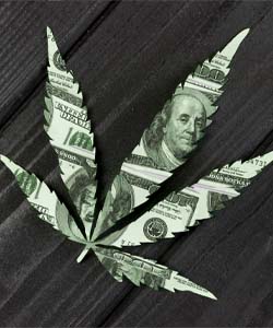 Marajuana leaf with money printed on it
