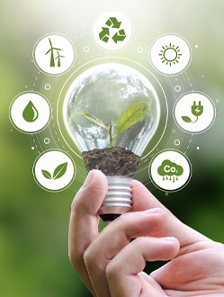 Holding a lightbulb with a plant growing inside: surrounded by eco-friendly icons