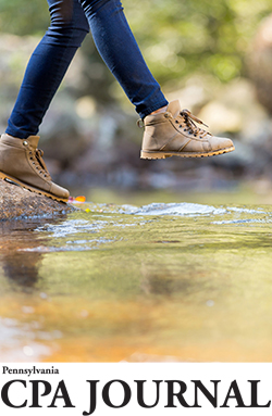 A hikers foot about to step into a stream
